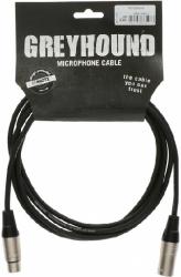 klotz_greyhound_10