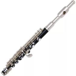 trevor_j_vivace_piccolo